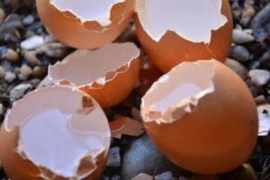 Egg shells on small pebbles to illustrate how to find security weaknesses in your business