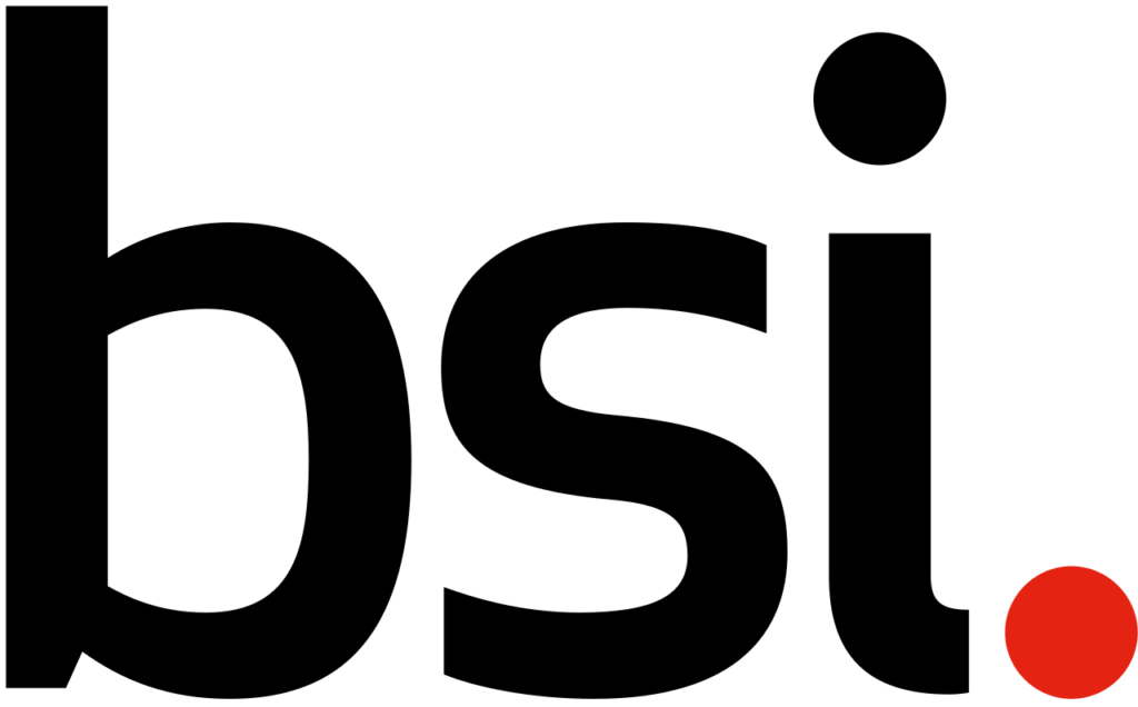 RGM Security LTD British Standards Institute Group Logo on white background