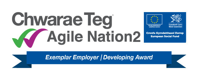 Chwarae Teg Agile Nation Exemplar Employer/Developing Award white background banner