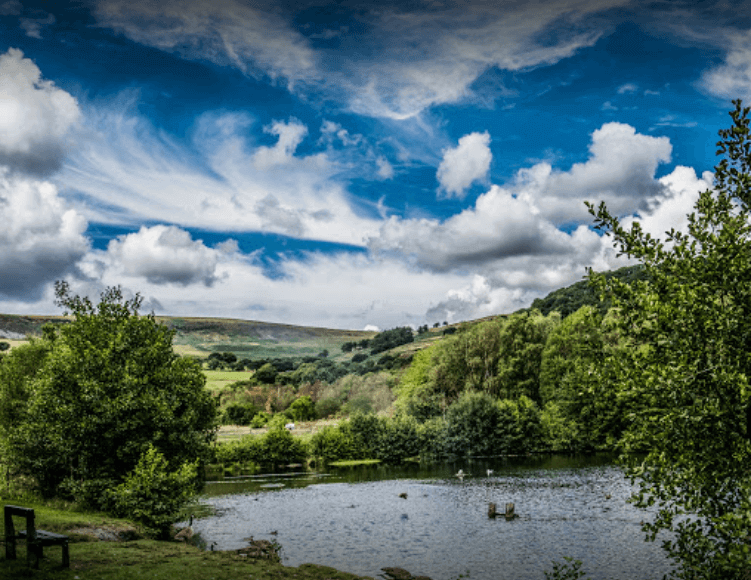 Dare Valley Country Park and Gravity Family Bike Park