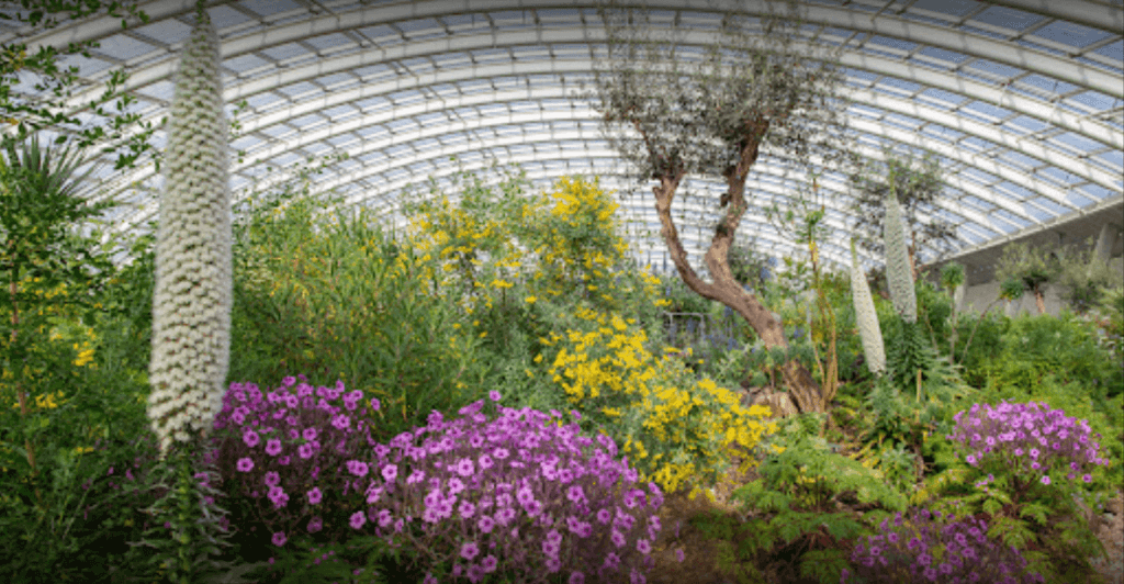 National Botanic Garden of Wales