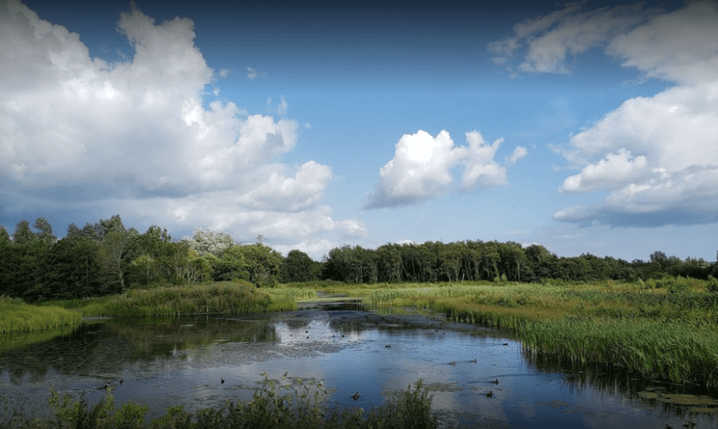 WWT Llanelli Wetland Centre