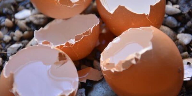 Egg shells on small pebbles to illustrate how to find security weaknesses in your business